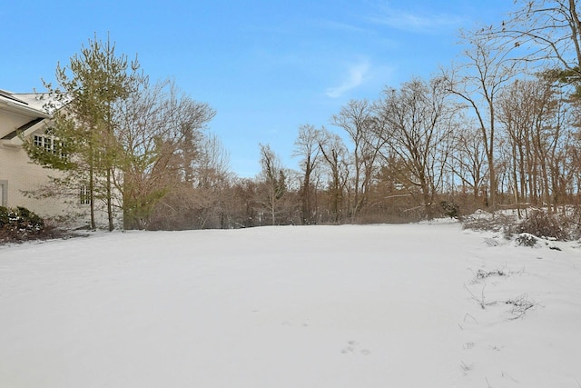 view of snowy yard