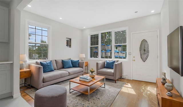 living room featuring light wood-type flooring