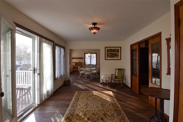 interior space with dark wood-type flooring