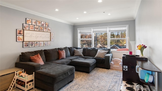 living room featuring ornamental molding