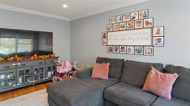 living room with ornamental molding and light hardwood / wood-style flooring