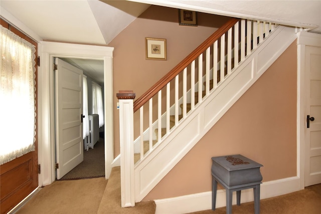 staircase featuring plenty of natural light and carpet flooring