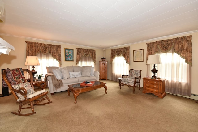 living room with crown molding and carpet