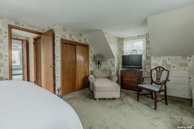 carpeted bedroom featuring radiator and multiple windows