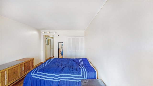 bedroom with wood-type flooring and a closet