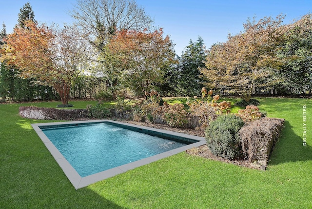 view of swimming pool featuring a lawn