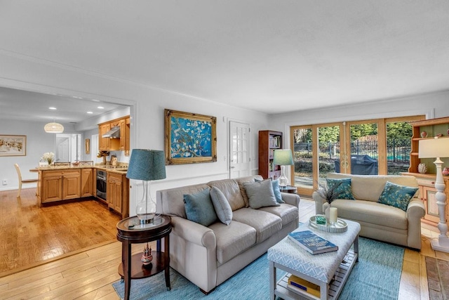 living room featuring light hardwood / wood-style floors