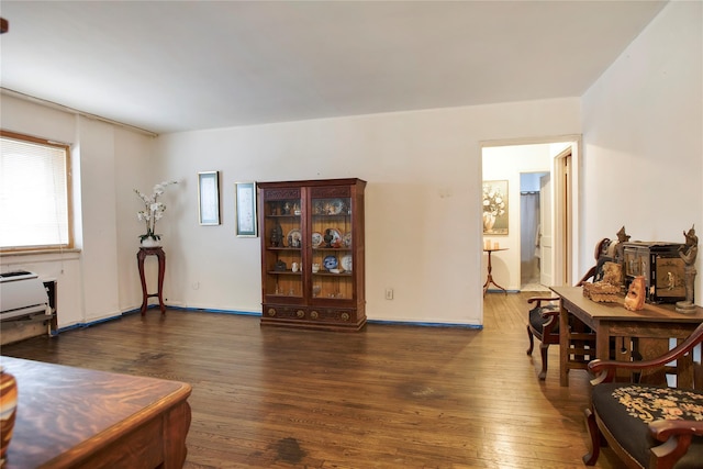 living room with dark wood-type flooring