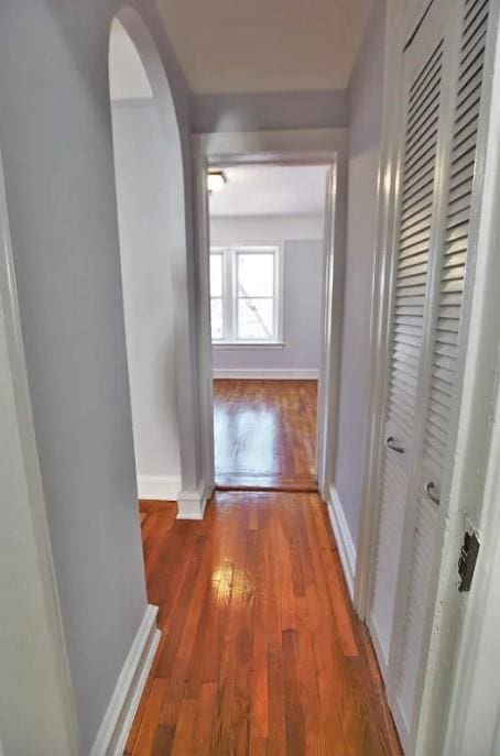 hall featuring wood-type flooring