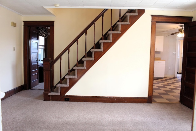 stairway with ornamental molding and carpet