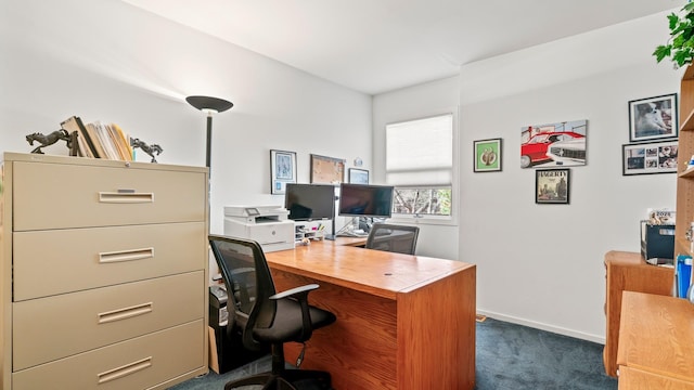 office space with dark carpet