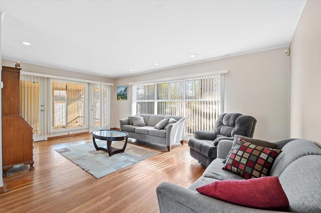 living room with light wood-type flooring