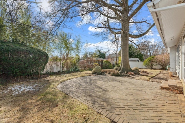 view of yard featuring a patio