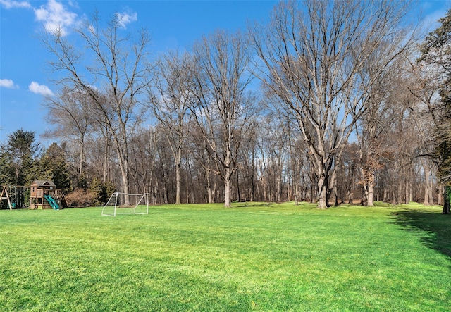 view of yard with a playground