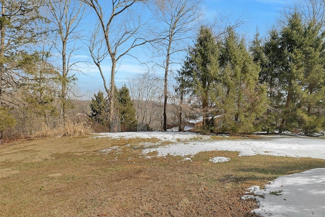 snowy yard featuring a wooded view