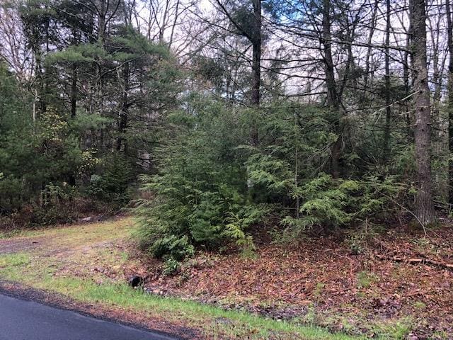 Crawford Rd, Barryville NY, 12528 land for sale