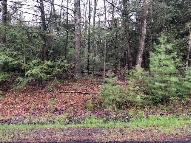 Listing photo 2 for Crawford Rd, Barryville NY 12528