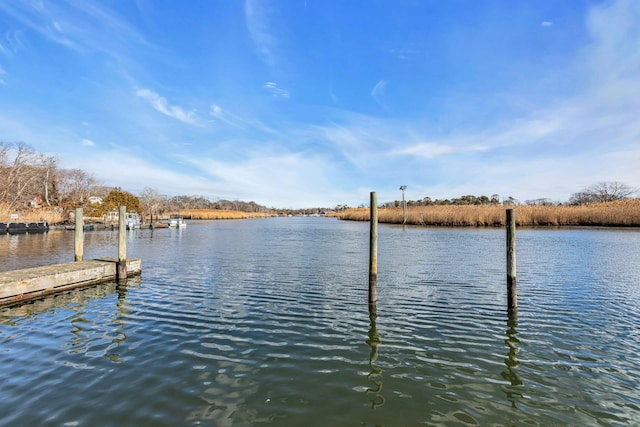 dock area with a water view