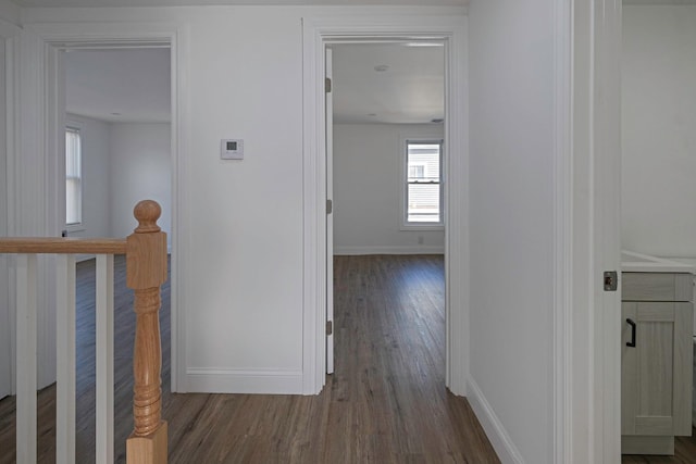 corridor featuring dark hardwood / wood-style flooring