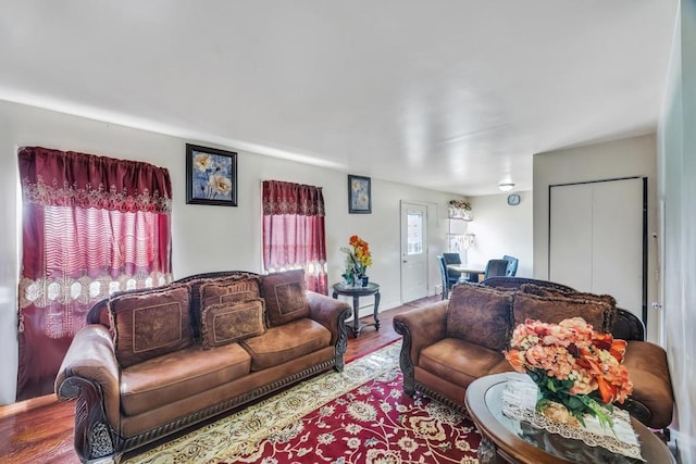 living room featuring wood finished floors