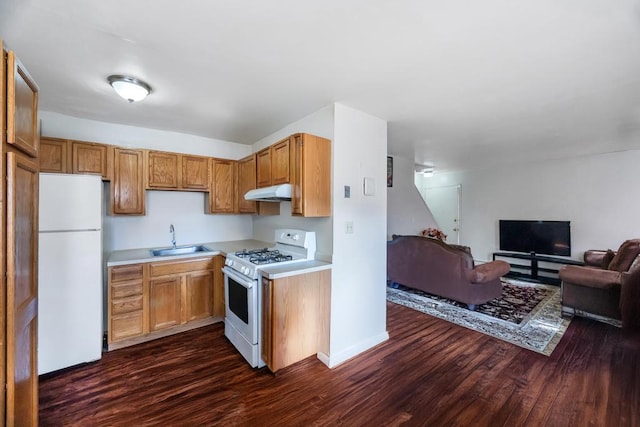 kitchen featuring dark wood finished floors, light countertops, open floor plan, a sink, and white appliances