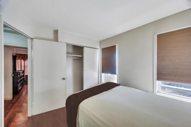 bedroom featuring dark wood-style flooring and a closet