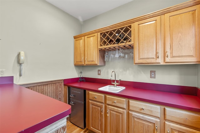 kitchen with a wainscoted wall and a sink