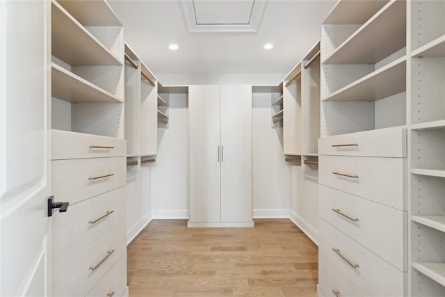 spacious closet featuring light hardwood / wood-style flooring