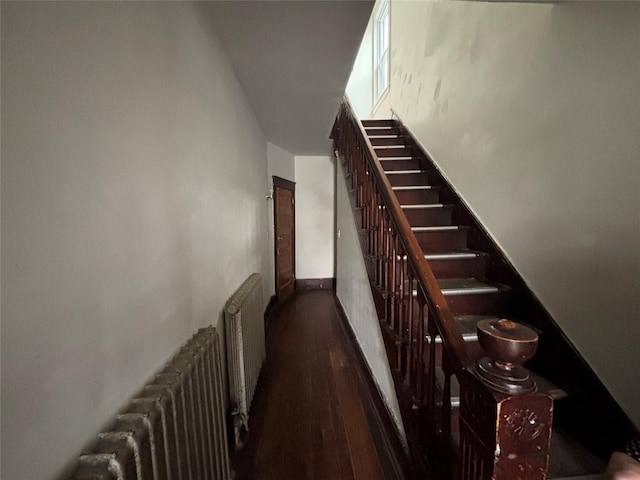 stairway featuring hardwood / wood-style flooring and radiator