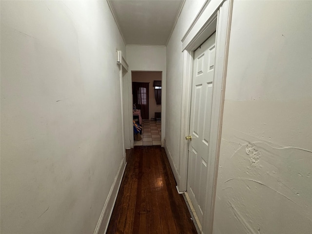 corridor featuring dark wood-type flooring and ornamental molding