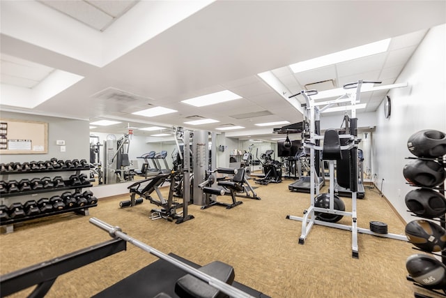 exercise room featuring carpet flooring and a drop ceiling