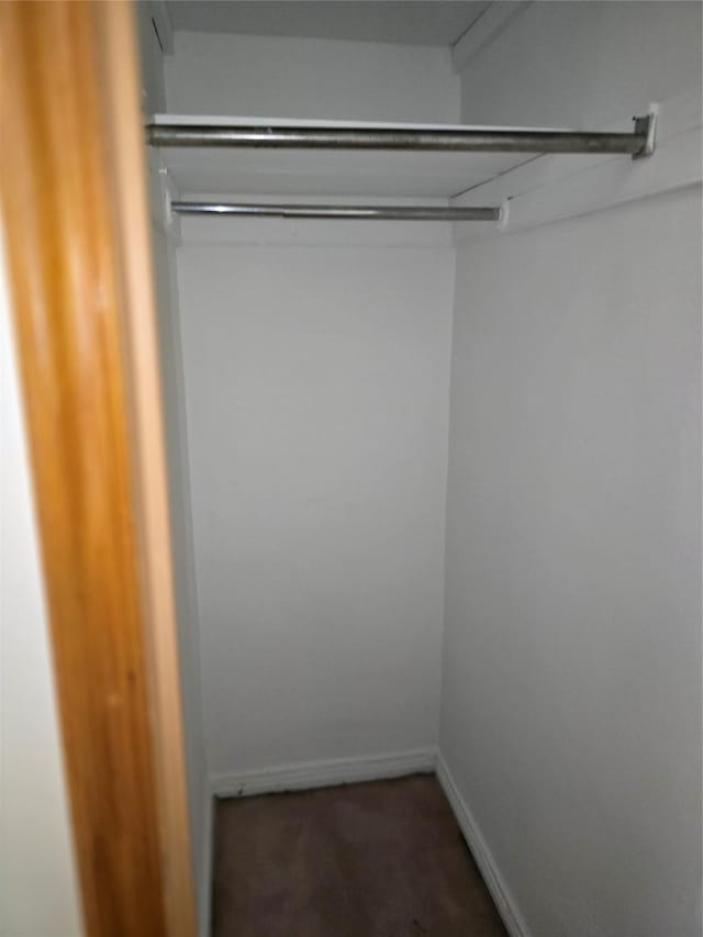walk in closet with carpet floors