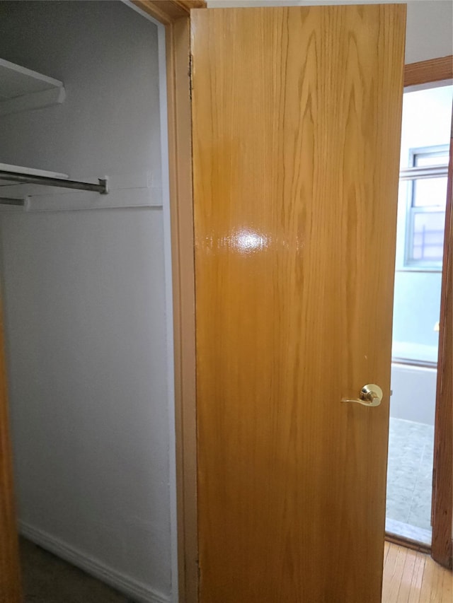 view of closet