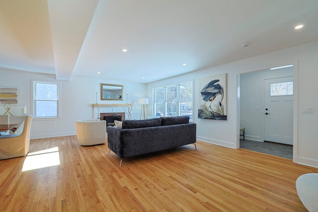 living room featuring a fireplace and light wood-type flooring