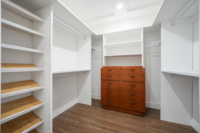 spacious closet with dark hardwood / wood-style floors