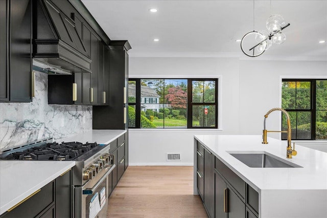 kitchen featuring premium range hood, sink, stainless steel gas range oven, ornamental molding, and decorative backsplash