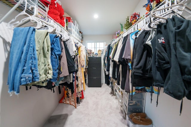 walk in closet featuring carpet floors