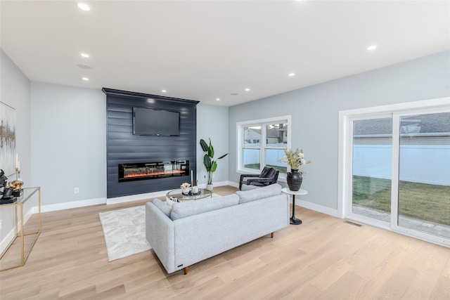 living room with a fireplace and light hardwood / wood-style flooring