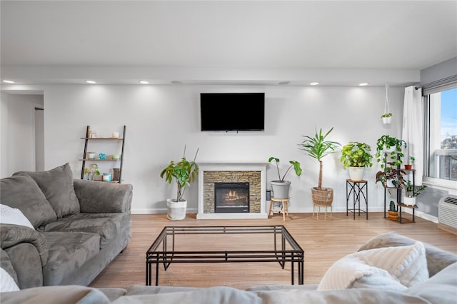 living room featuring wood-type flooring and a fireplace