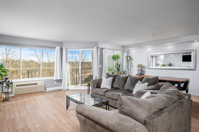 living room featuring an AC wall unit and light hardwood / wood-style flooring