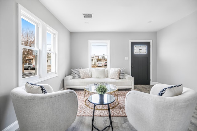 living room with wood-type flooring