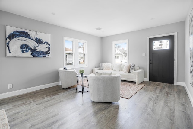 living room featuring hardwood / wood-style floors