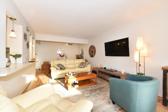 living room with ceiling fan and light hardwood / wood-style flooring