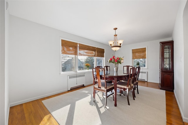 dining space with radiator, a notable chandelier, a wealth of natural light, and light wood-type flooring