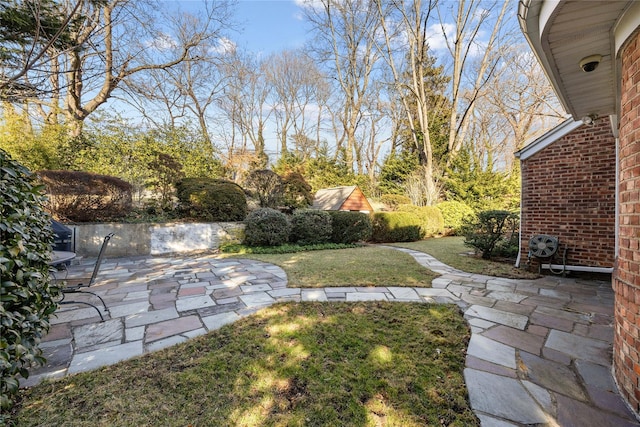 view of yard with a patio area