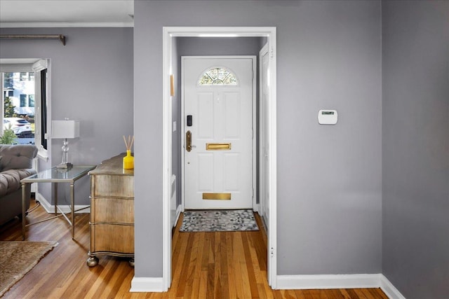 entrance foyer with plenty of natural light and wood-type flooring