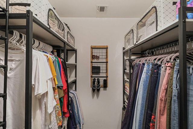 view of spacious closet