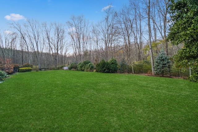 view of yard with a wooded view