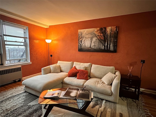 living room with hardwood / wood-style floors and radiator heating unit