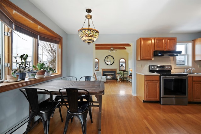 kitchen featuring stainless steel electric range, light hardwood / wood-style flooring, baseboard heating, hanging light fixtures, and a wealth of natural light